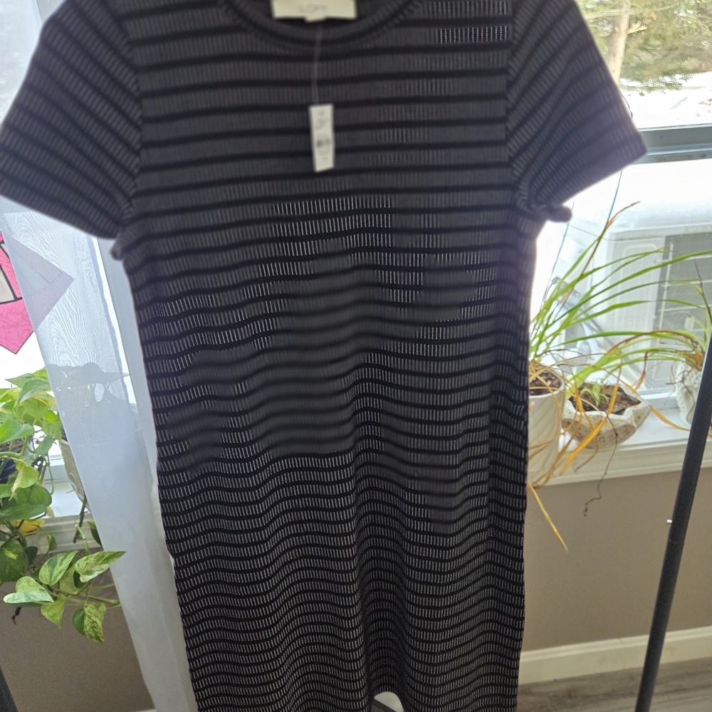 Striped Black and White Women's Dress